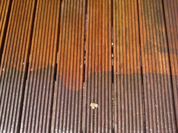 Reiniging in actie 0